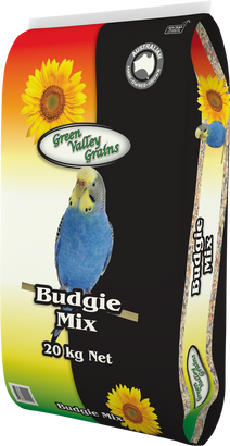Green Valley Budgie Mix