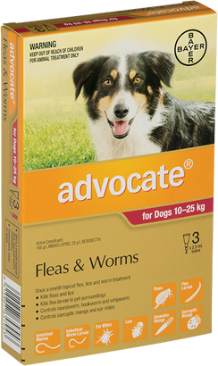 Advocate® For Large Dogs 10 Kg – 25 Kg