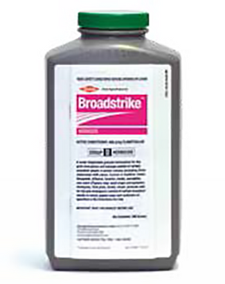 Broadstrike (Bottle)