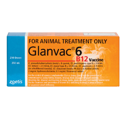 Glanvac® 6 B12
